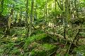 2017_08_23_Vosges (0012)